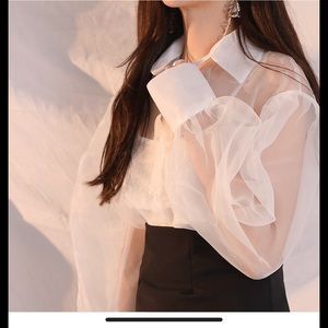 Organza volume seethrouch blousesith celebrty